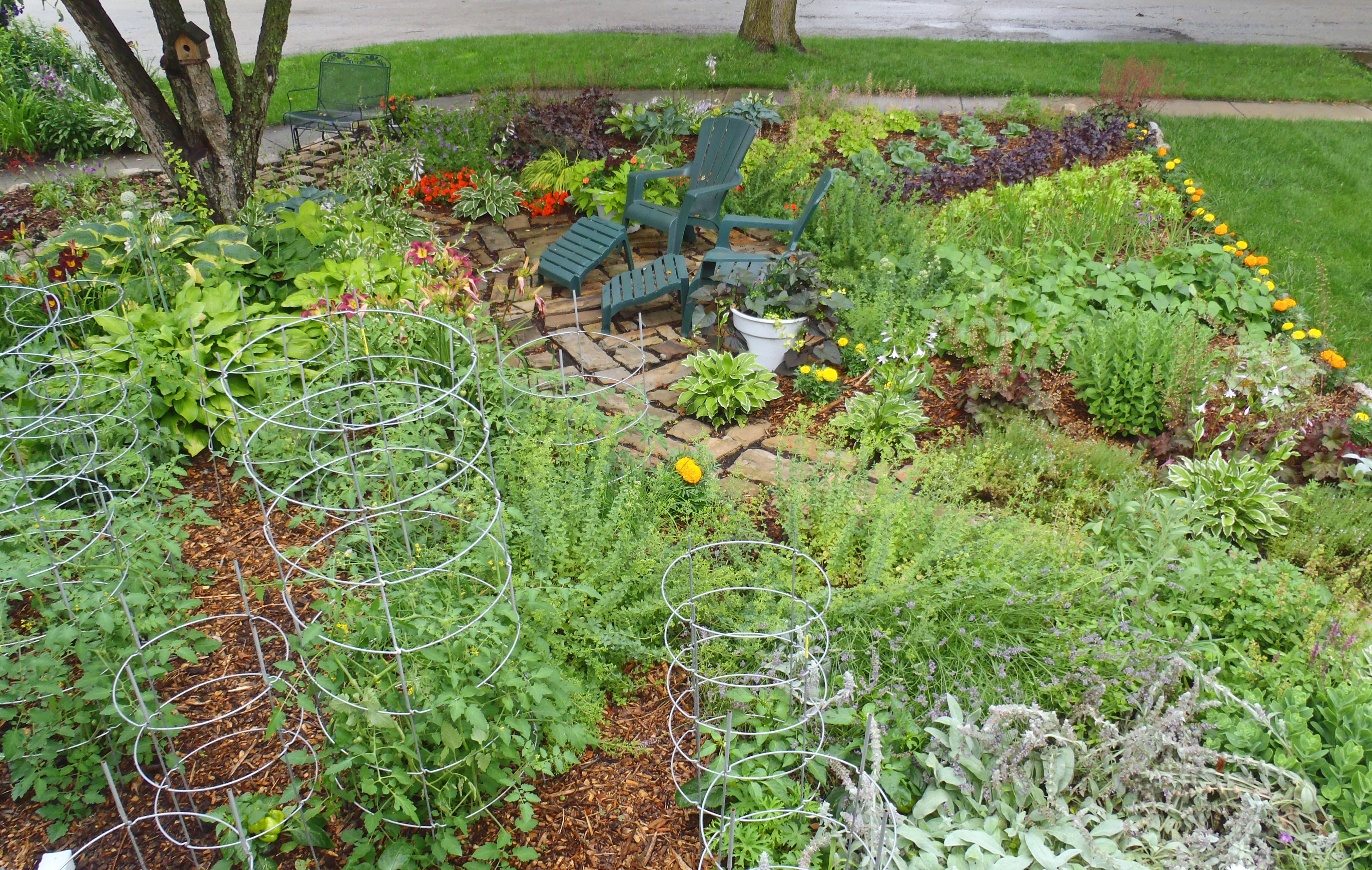 Edible Garden Ideas