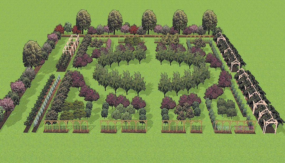 Ideas Fruit Garden Plan Garden Design Layout Landscaping