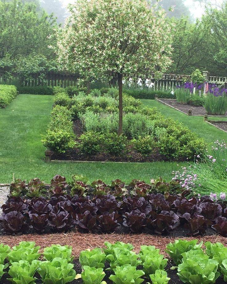 Edible Front Yard Landscaping