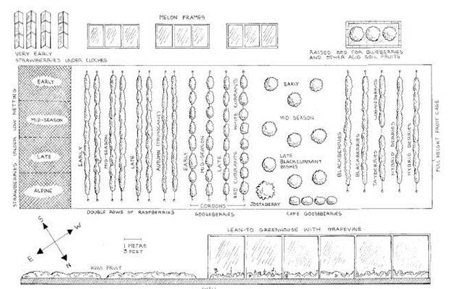 Garden Plot Vegetable Garden Planning