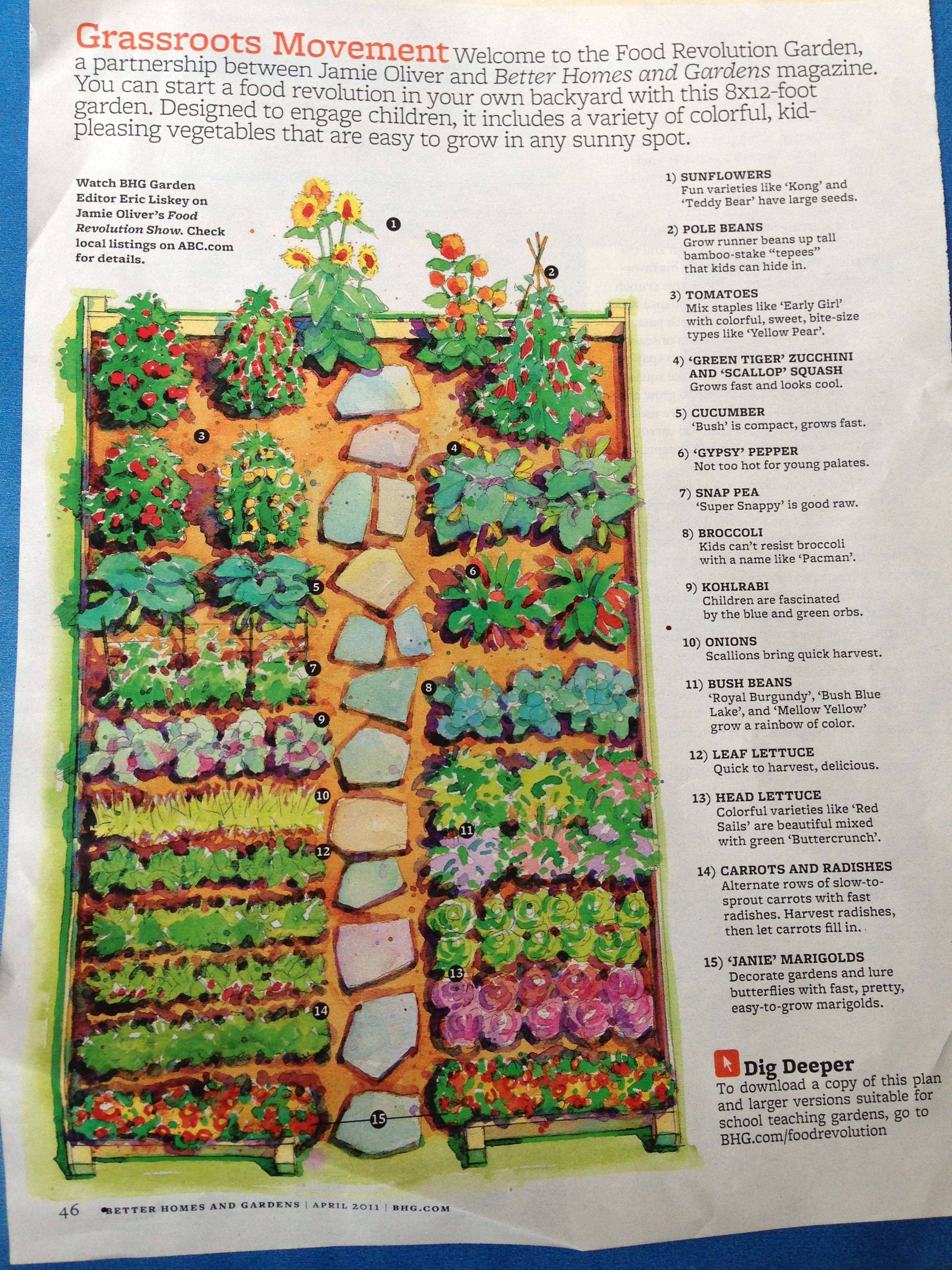 Super Fruit Garden Layout