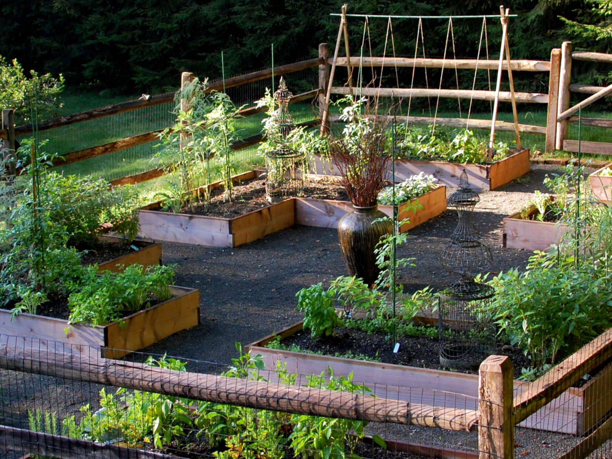 Vegetable Garden Vegetable Garden Planner