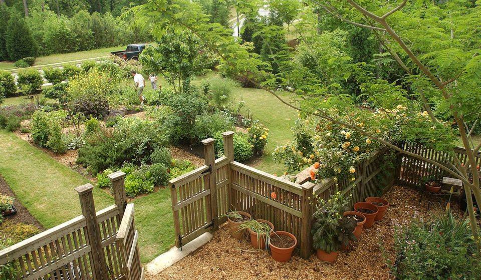 A Cultivated Nest Fruit Garden Layout