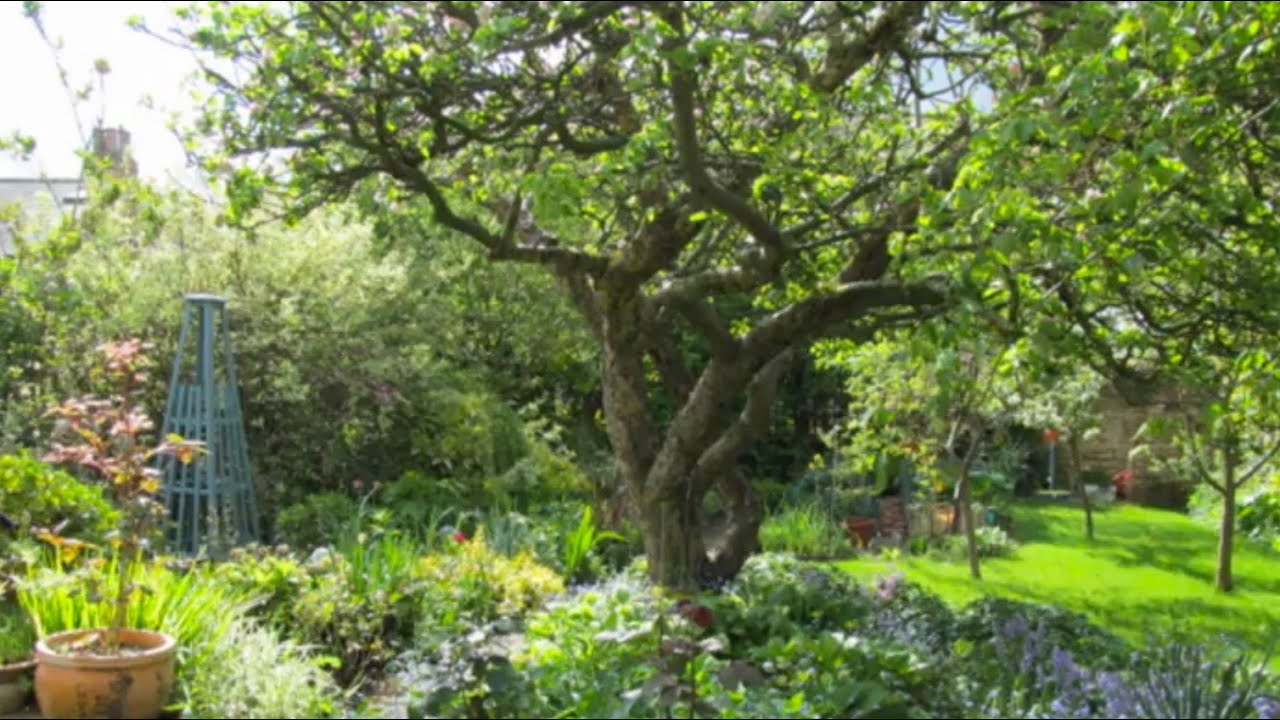 Freshcottagegardenstylewithfruittrees Homemydesign