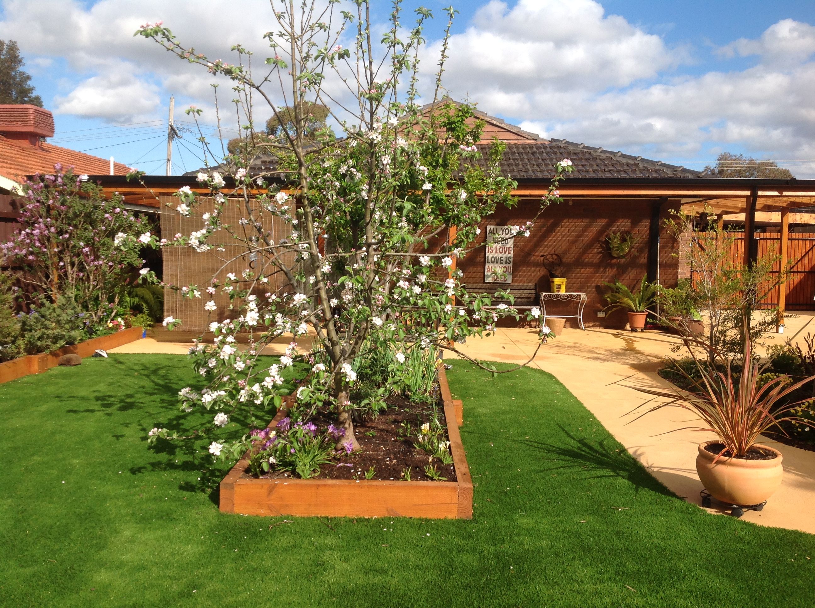 Planting Fruit Trees