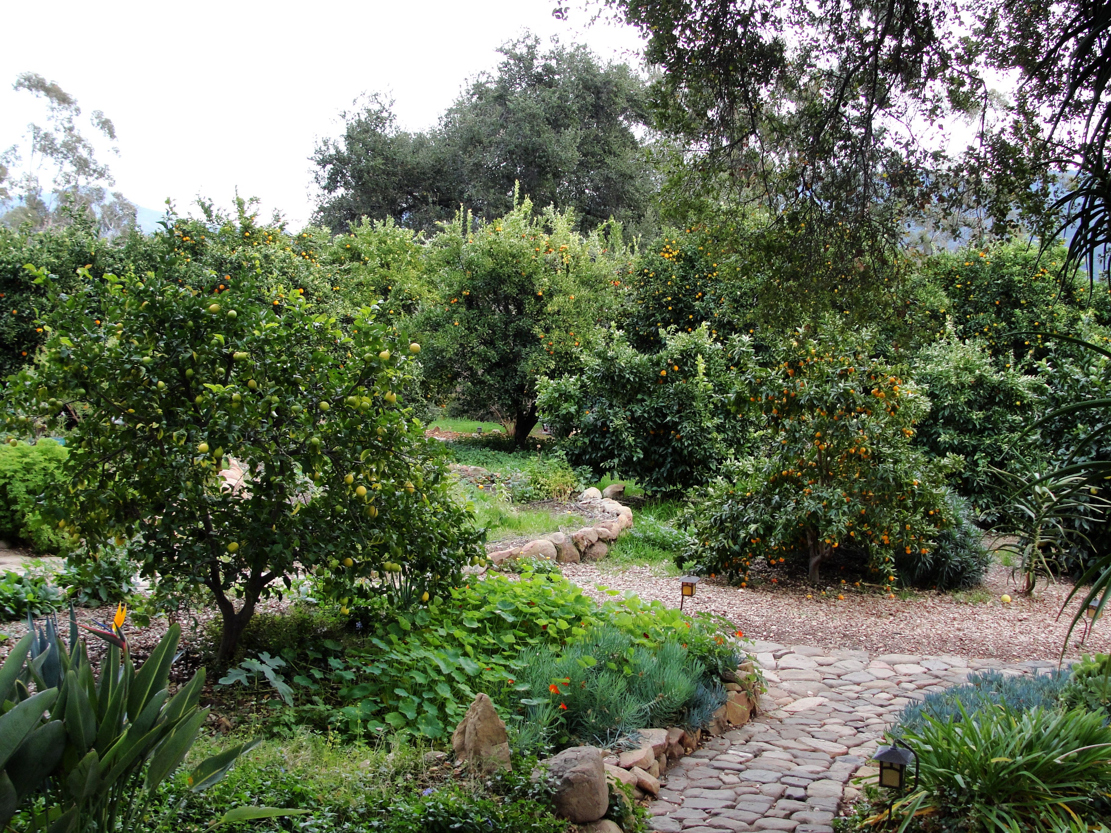 What A Pretty Garden Front Yard Landscaping