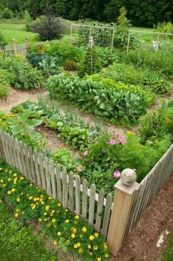 Organic Vegetable Garden Straw Bales Spring Vegetable