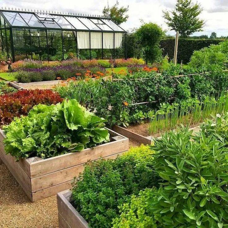 Vegetable Garden Ideas