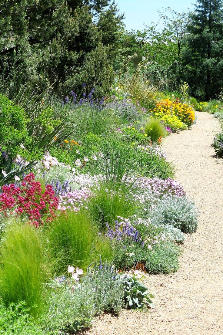 Amazing Xeriscape Landscaping Design Ideas Landscape Ideas Tips