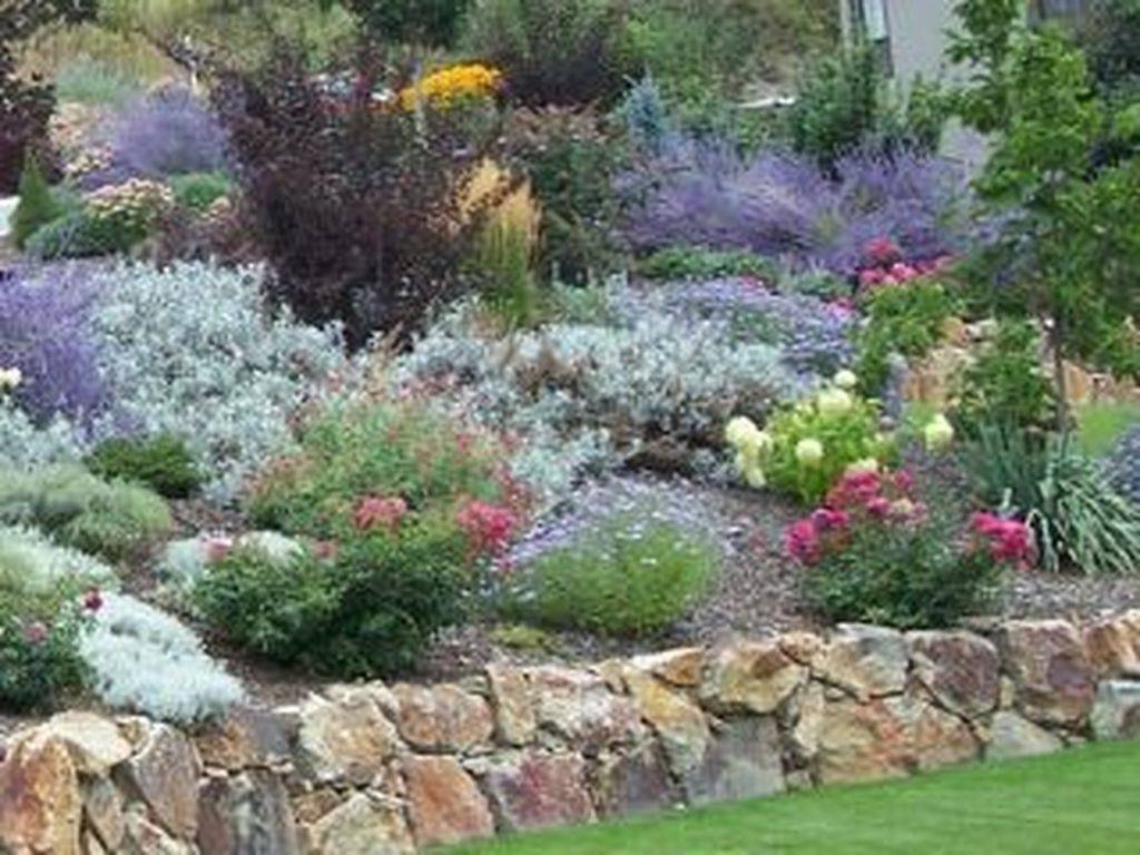 Top Xeriscape Landscaping Colorado Inspirations You Need To Know