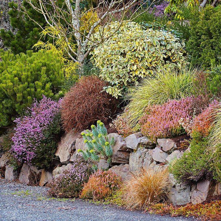 Top Xeriscape Landscaping Colorado Inspirations You Need To Know
