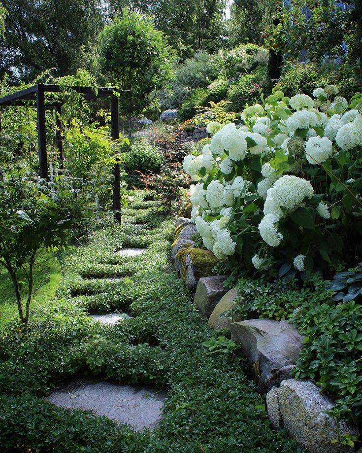 Small Backyard Xeriscape