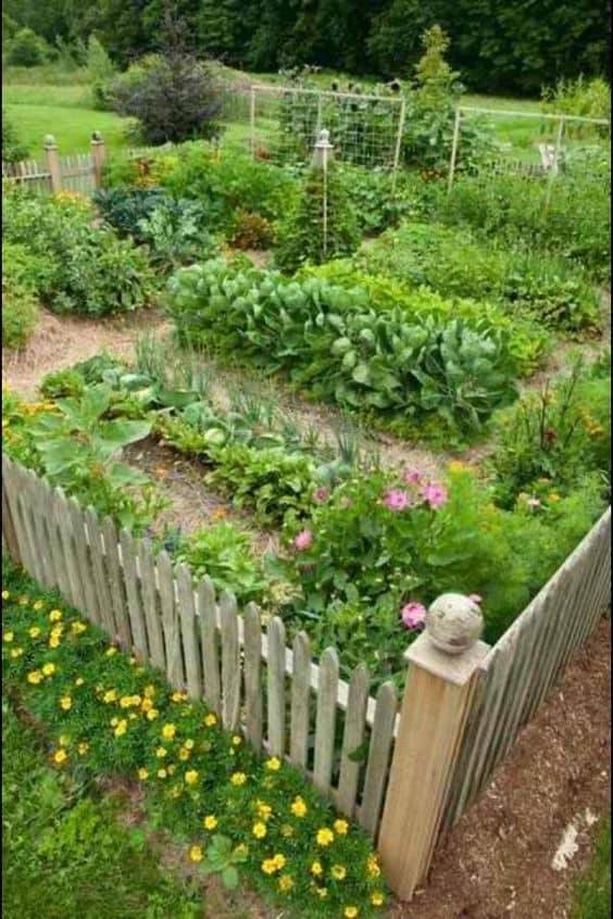 Beautiful Backyard Vegetable Garden Designs Ideas Gardenideas