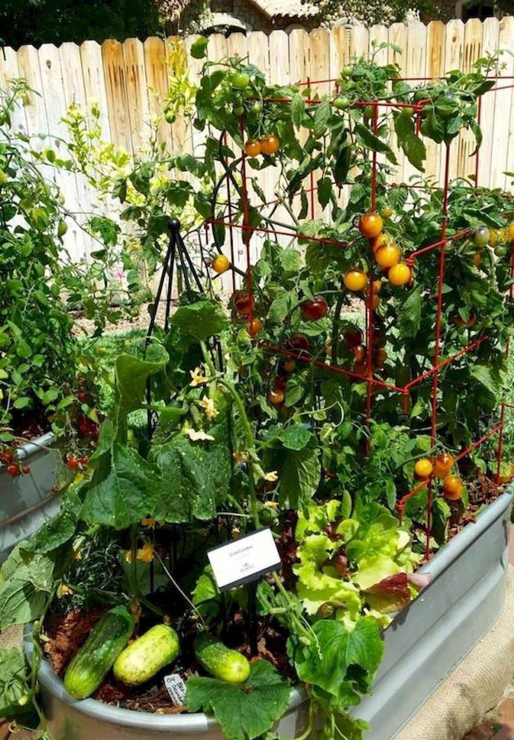 Beautiful Vegetable Garden Designs