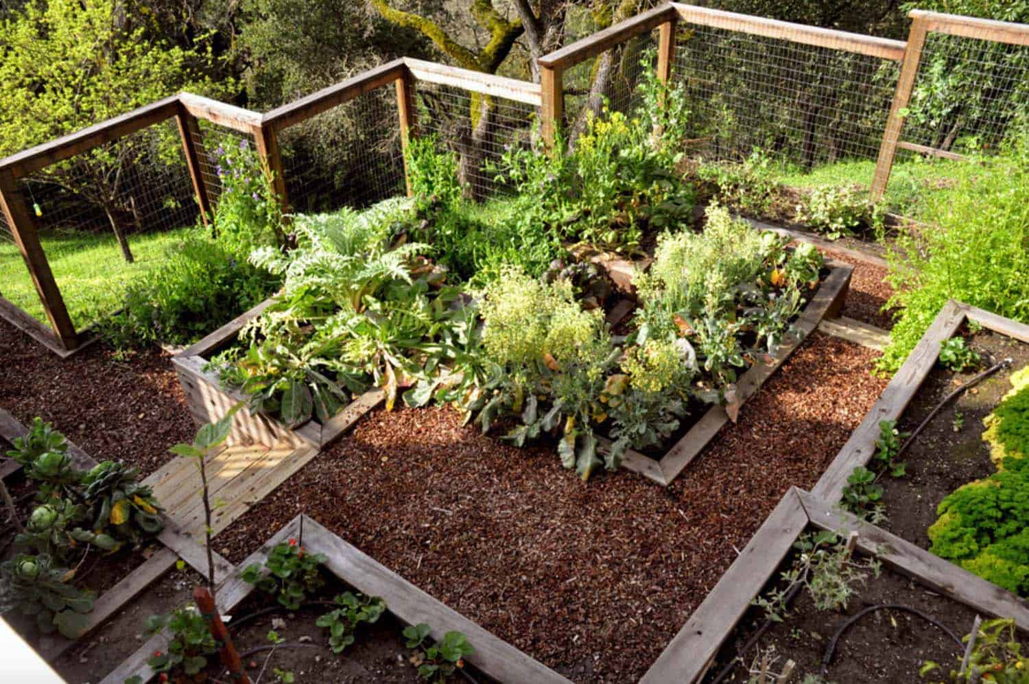 The Rusted Vegetable Garden Small Vegetable Gardens
