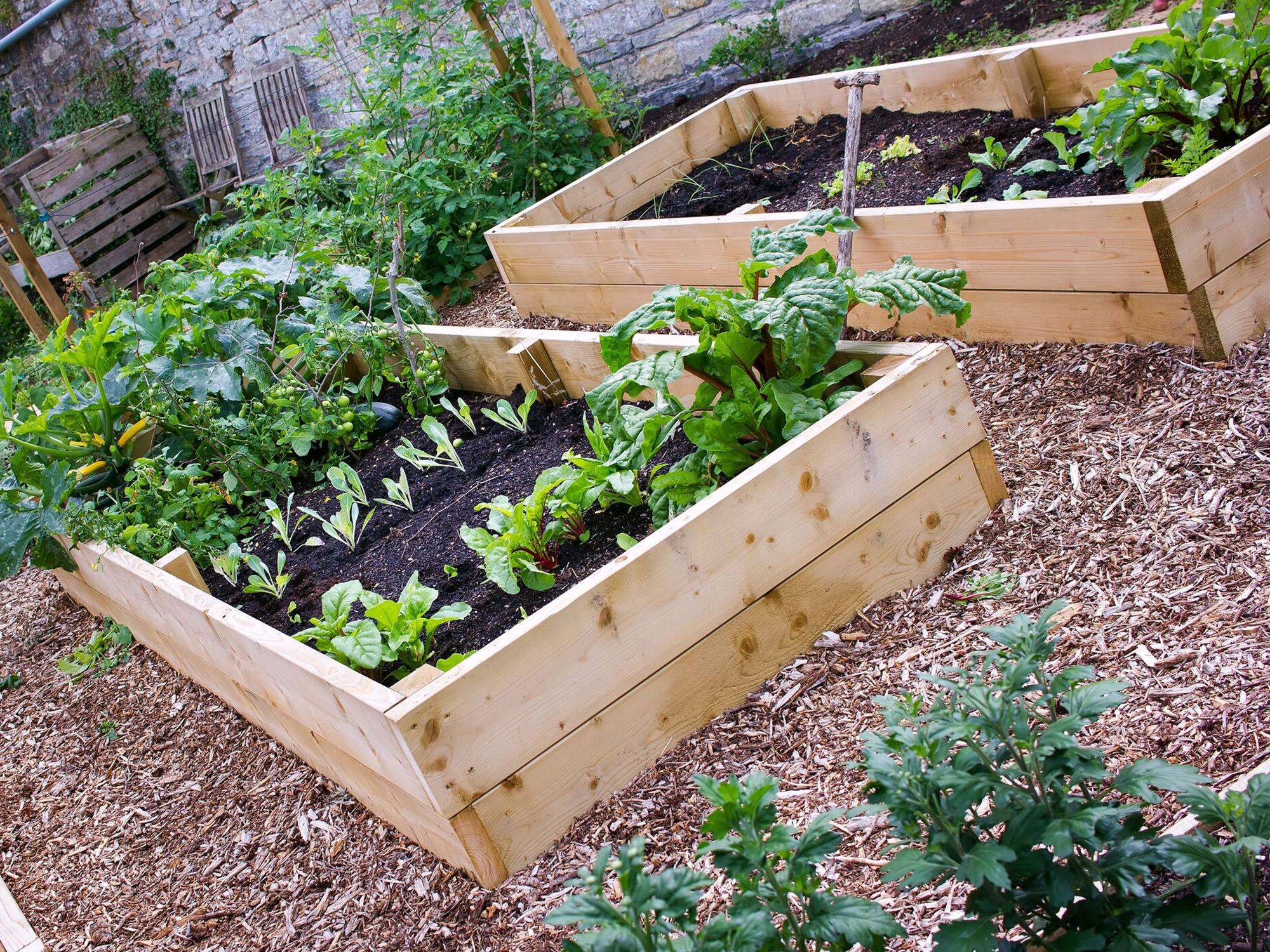 Vegetable Garden Fence Ideas Indoor Vegetable Garden