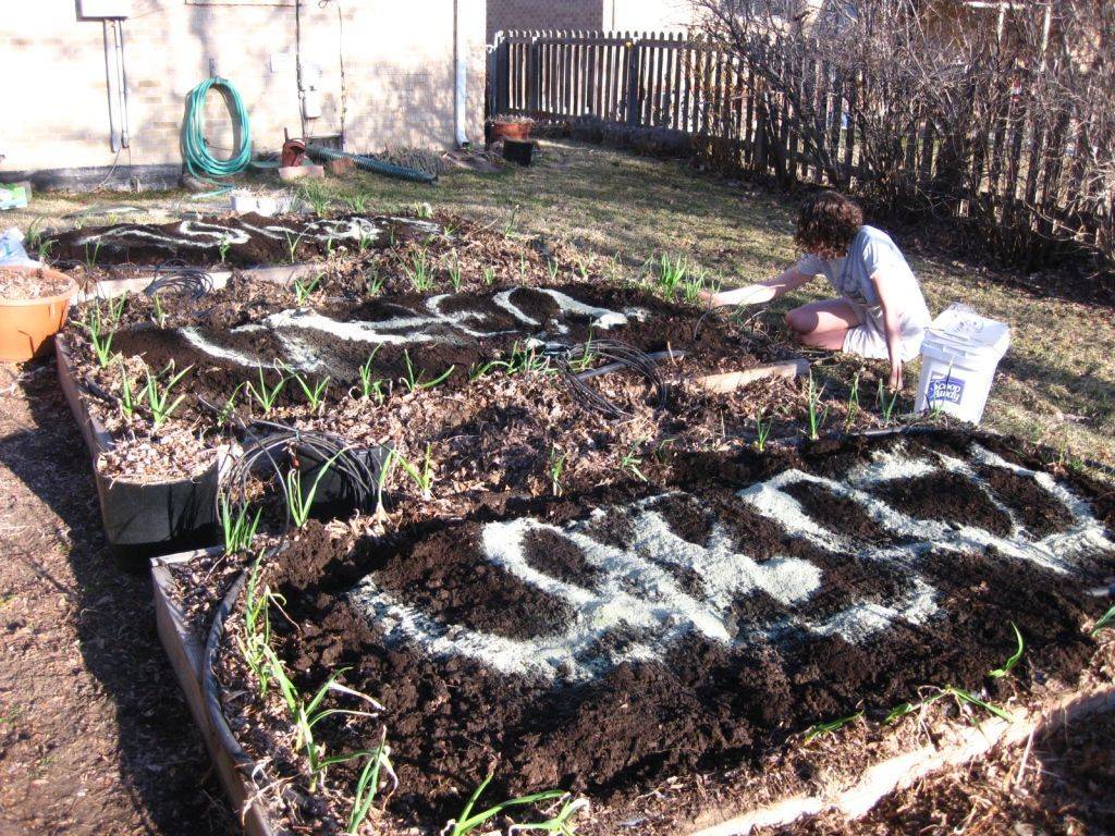 Lasagna Gardening
