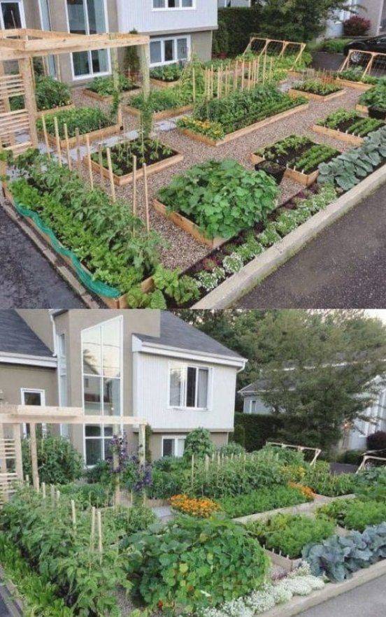 Vegetable Garden