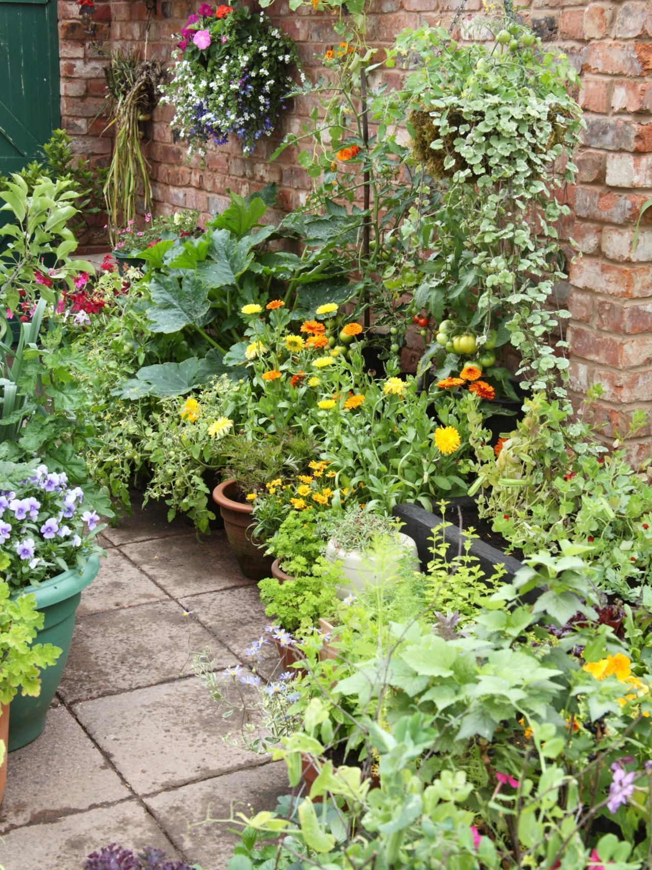 Container Vegetable Garden Garden Yard Ideas