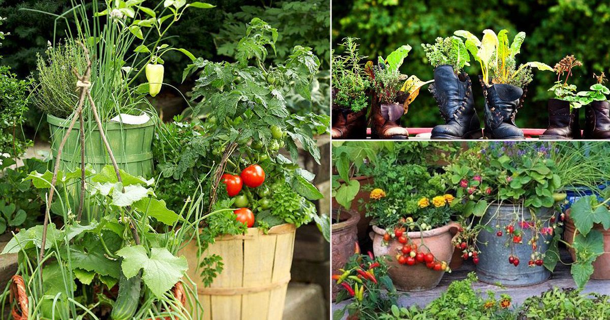 Creative Container Vegetable Gardening Ideas