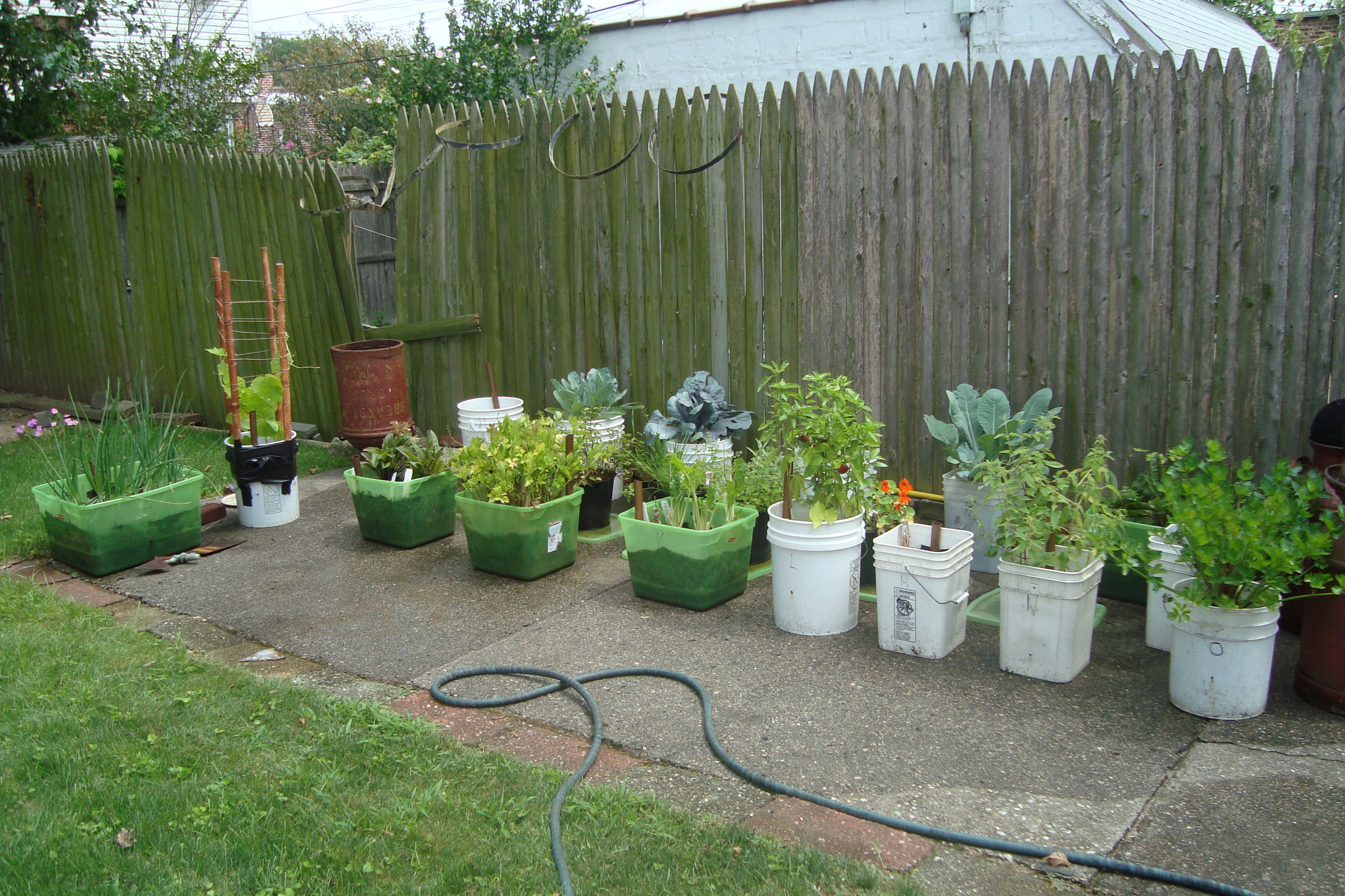 A Container Vegetable Garden