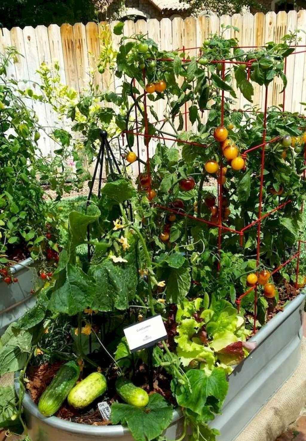 The Rusted Vegetable Garden Small Vegetable Gardens