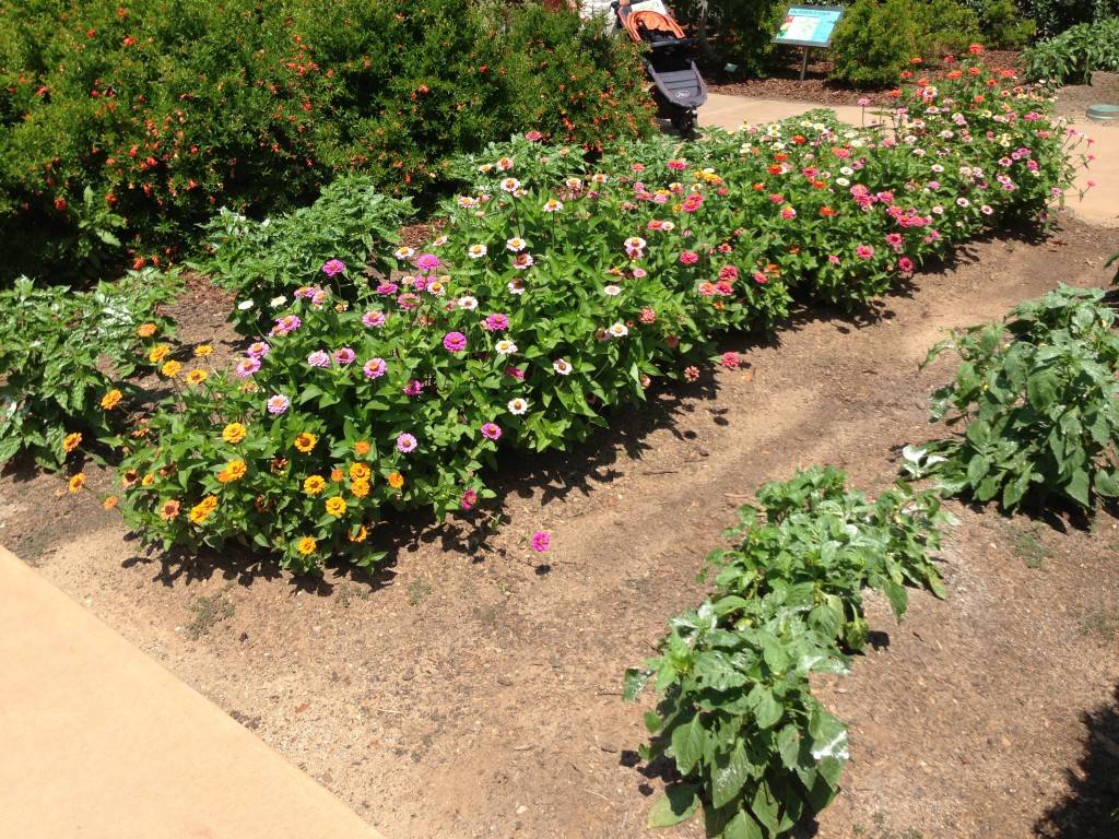 Innovative Food Gardens Ideas