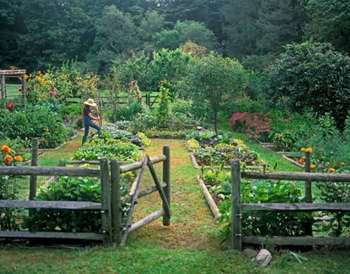 Fabulous Backyard Vegetable Garden Design Ideas