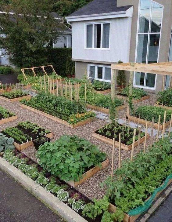 Beautifuly Colorful Vegetable Garden Design Ideas Page