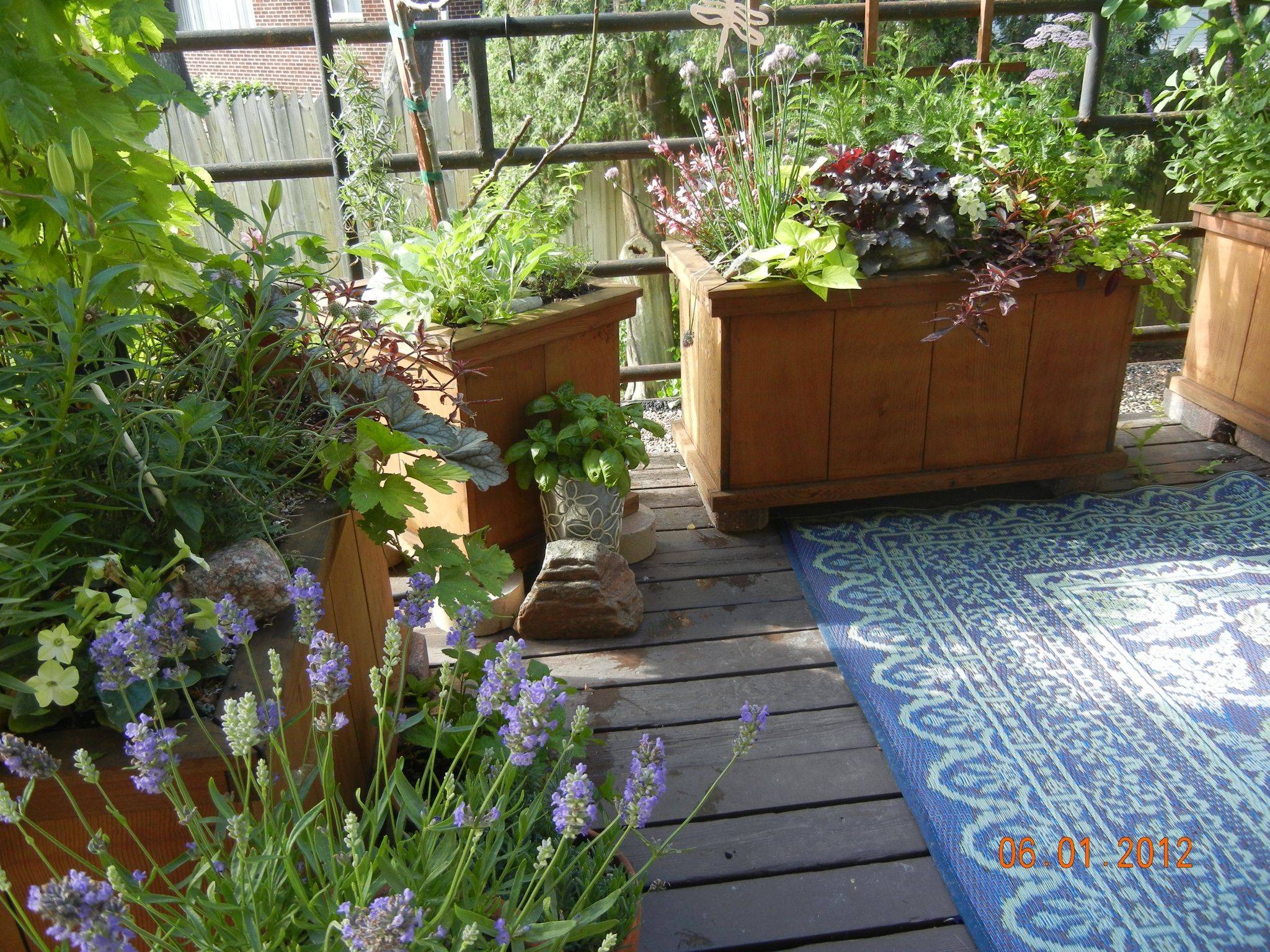 Beautiful Apartment Balcony Vegetable Garden Ideas Balcony