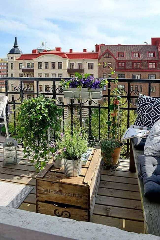 Backyard Ideas