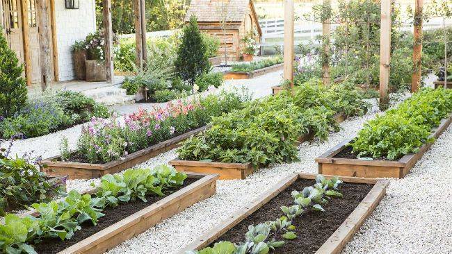 Joanna Gaines Garden Family Garden