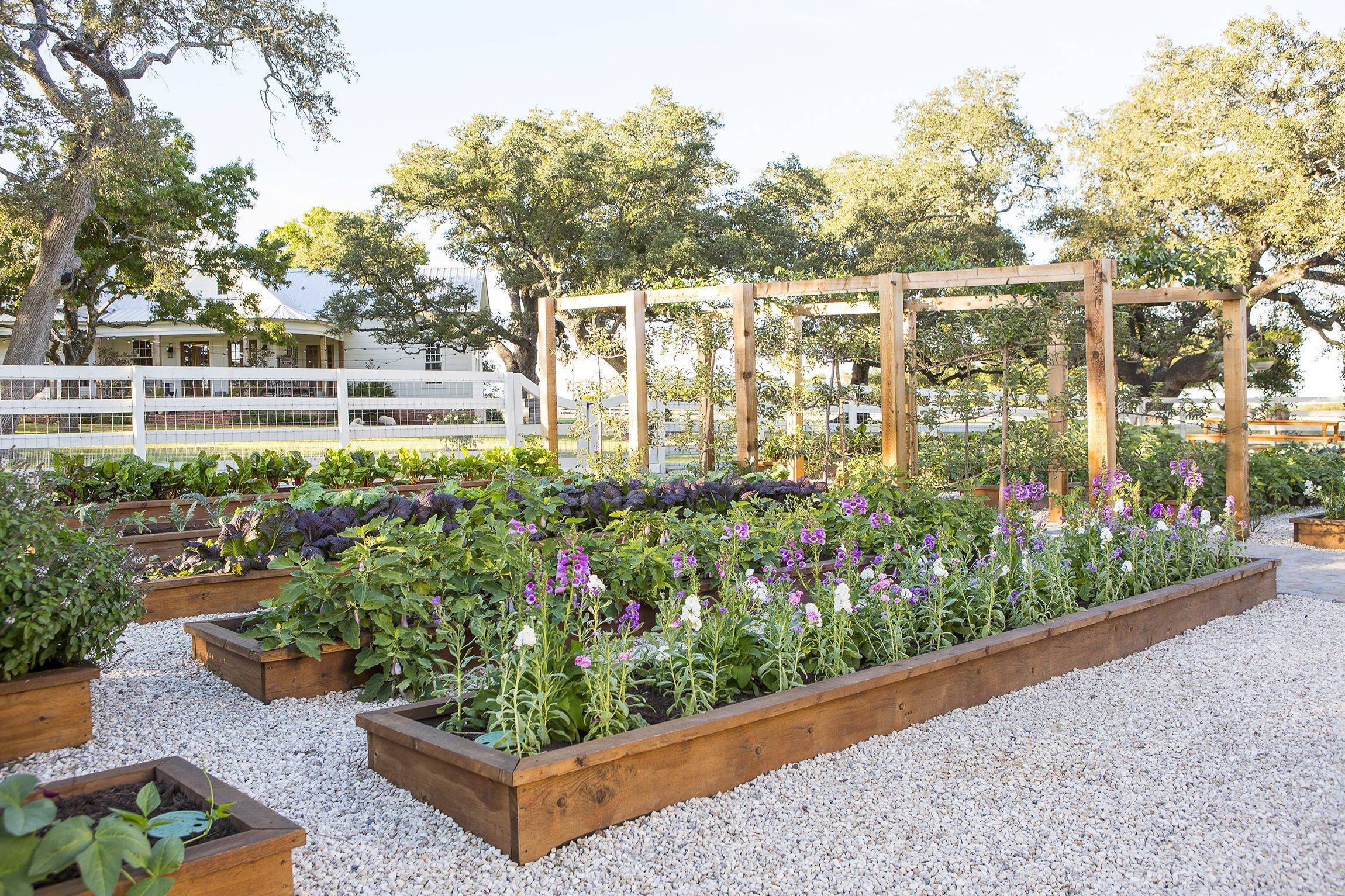 Joanna Gaines Garden