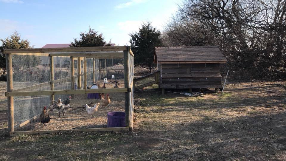 12 Joanna Gaines Garden Chicken Run Ideas You Should Check SharonSable