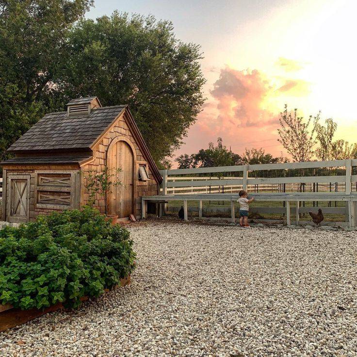 12 Joanna Gaines Garden Chicken Run Ideas You Should Check SharonSable