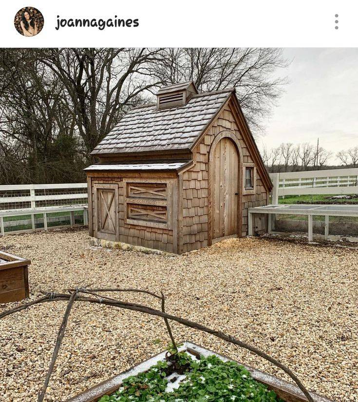 12 Joanna Gaines Garden Chicken Run Ideas You Should Check SharonSable
