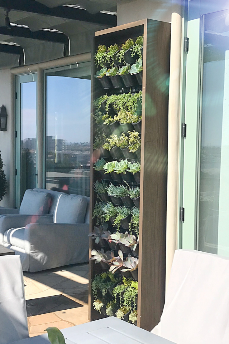 A Vertical Garden