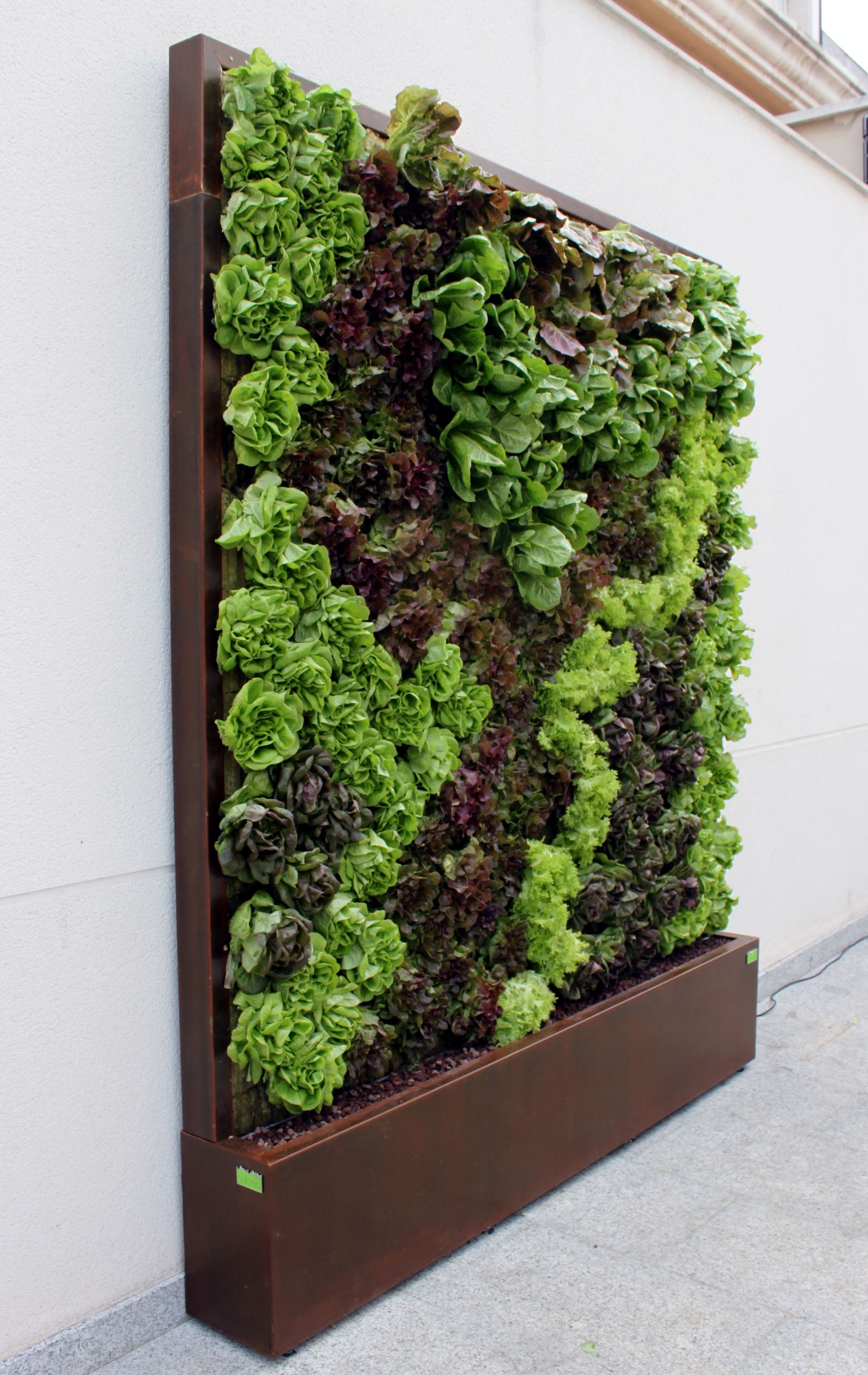 Vertical Garden Design