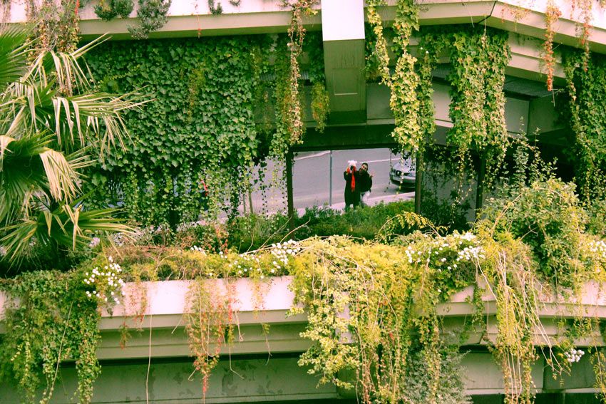 Vertical Garden Design