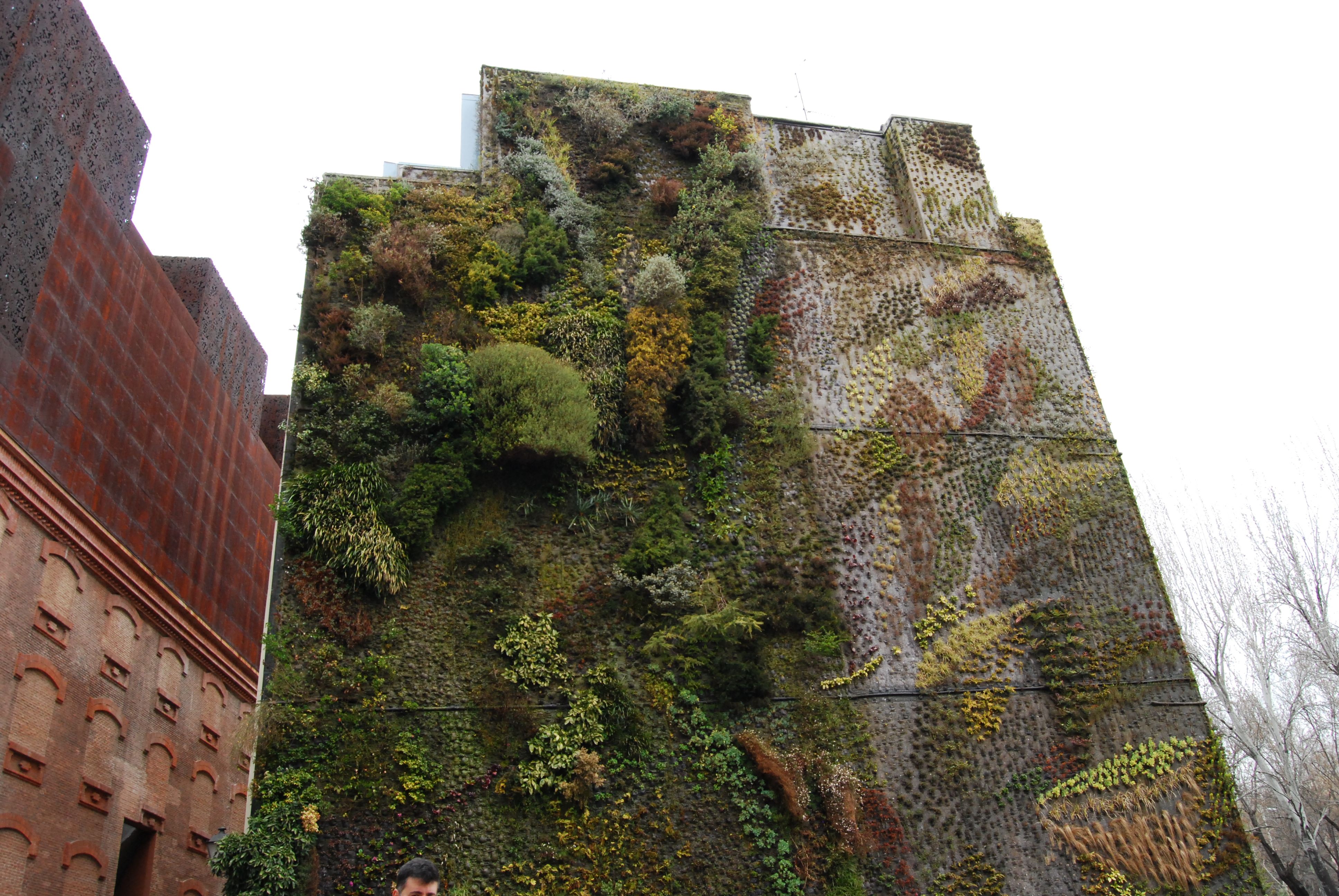 Verticalgardenofrenaissancebarcelonafirahotel
