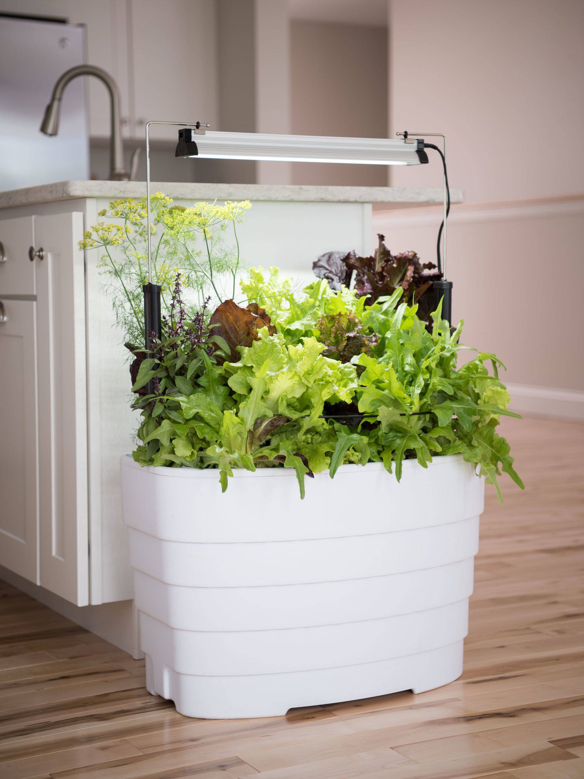 Container Gardening Ideas