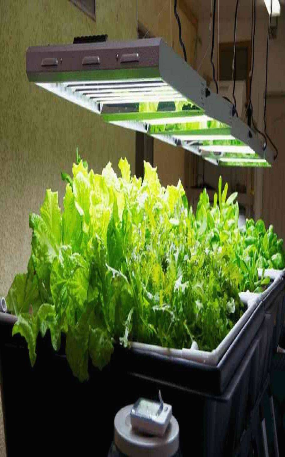 Lovely Plant Grow Light Indoor Vegetables Grow Lights For Plants