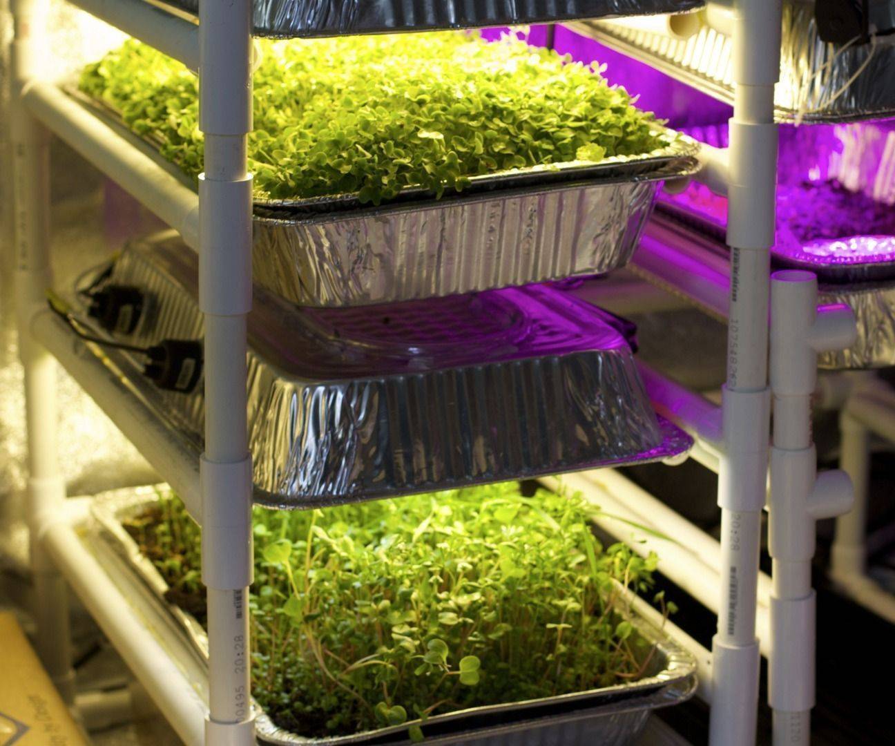 Micro Sized Grow Light Garden Indoor Vegetable Gardening Growing