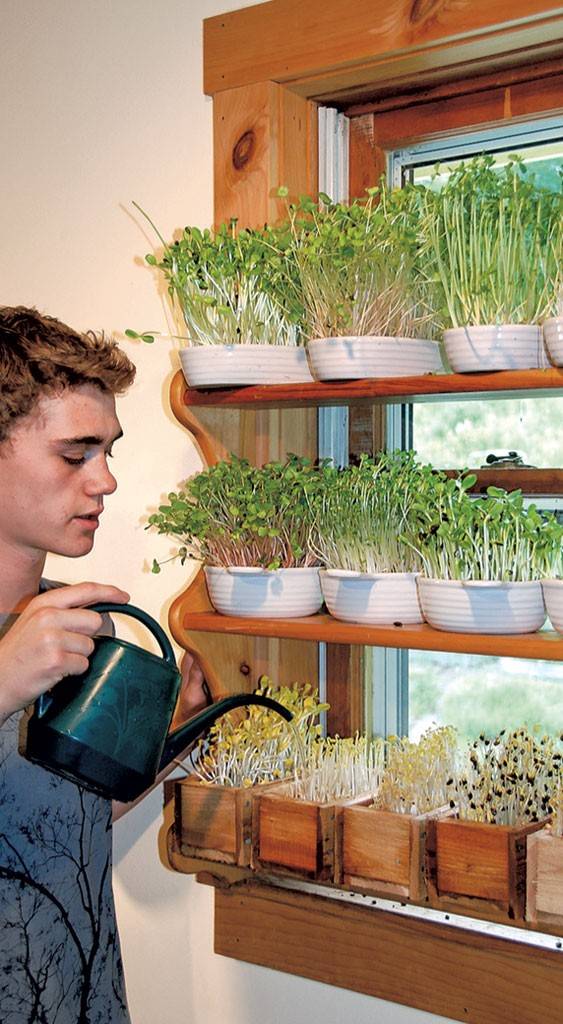 Simple Saladgarden Containers