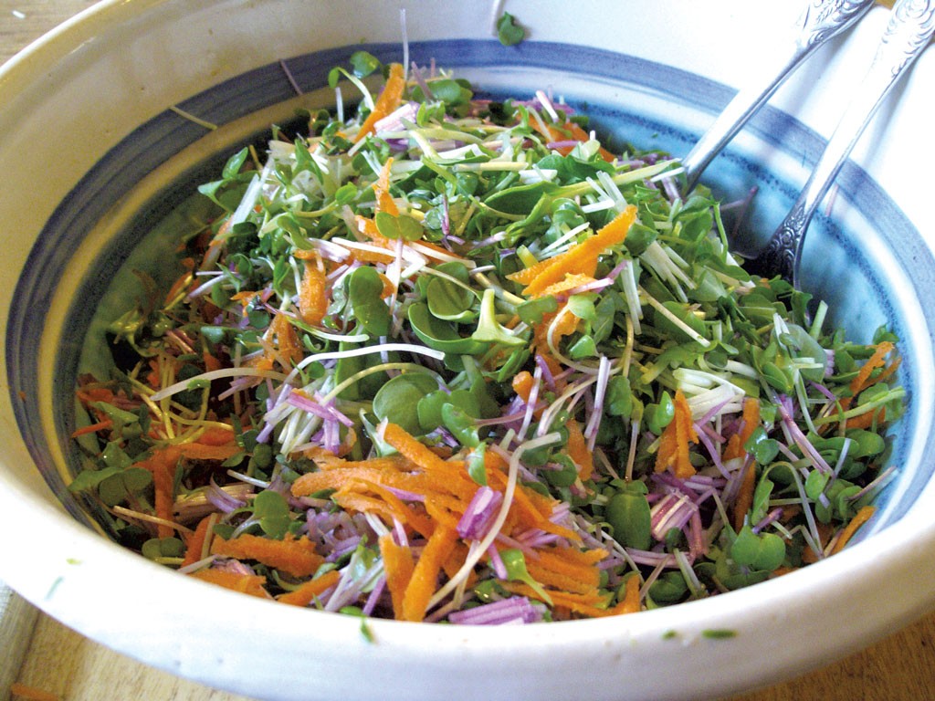 Yearround Salad Gardening