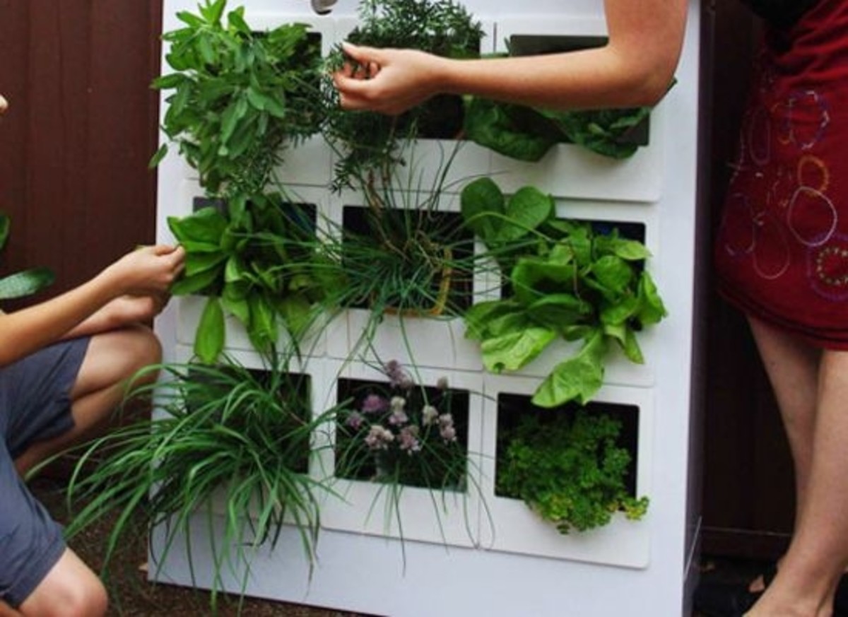 The Salad Table Smart Garden