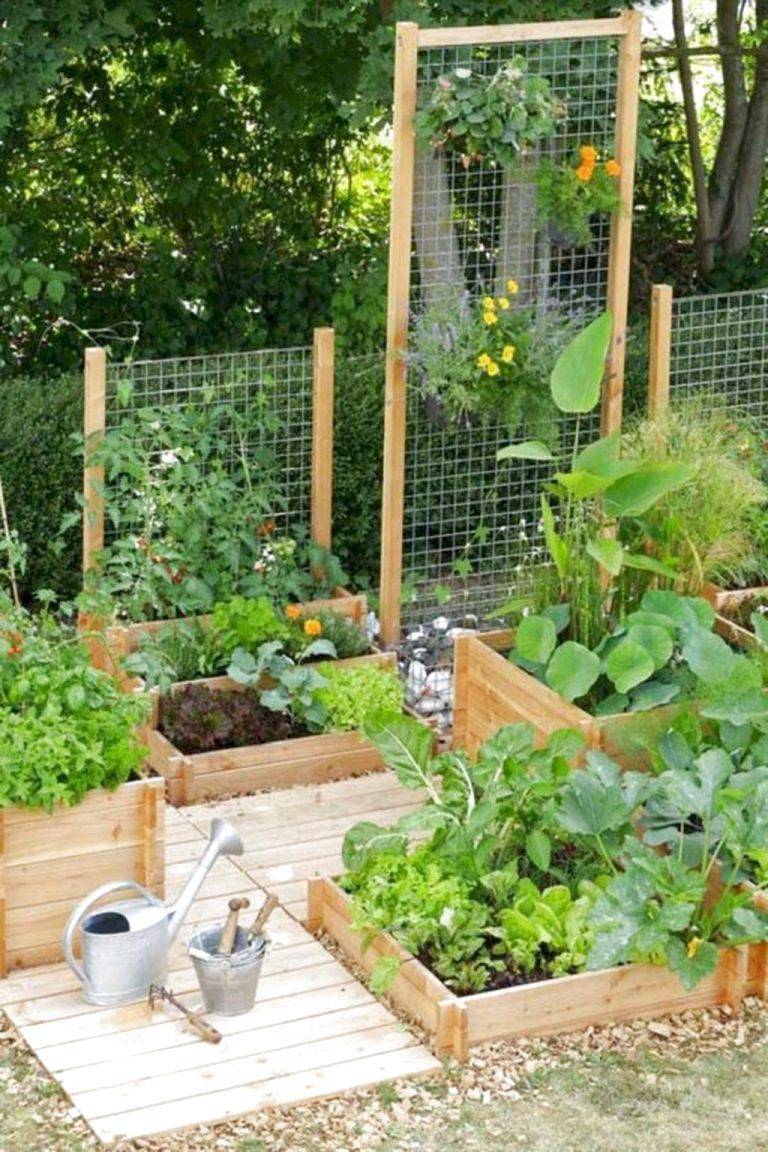 Creative Vegetable Garden Ideas And Decorations Vertical Vegetable
