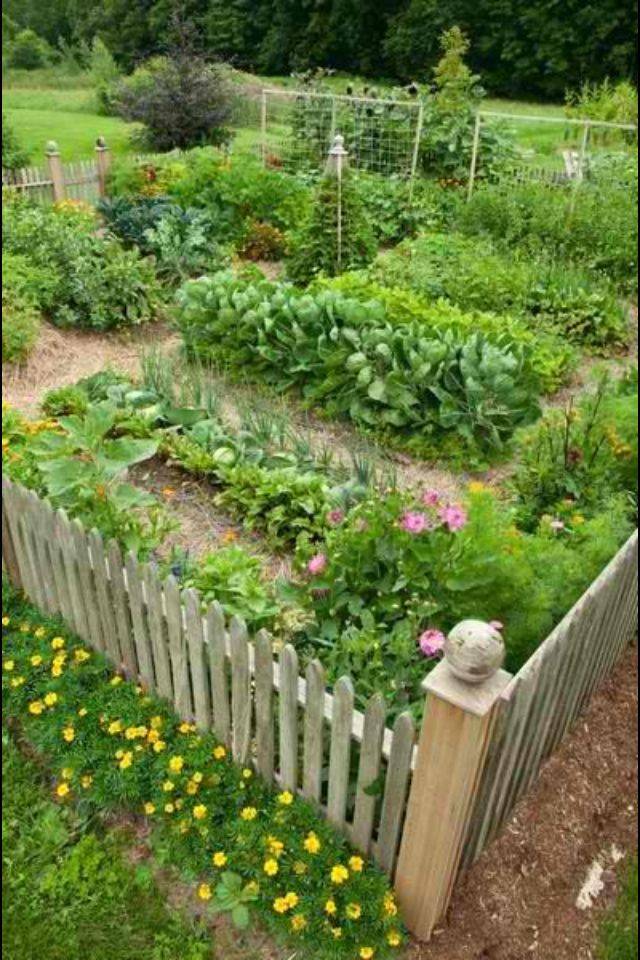 This Mixed Flower And Vegetable Garden Beautifully