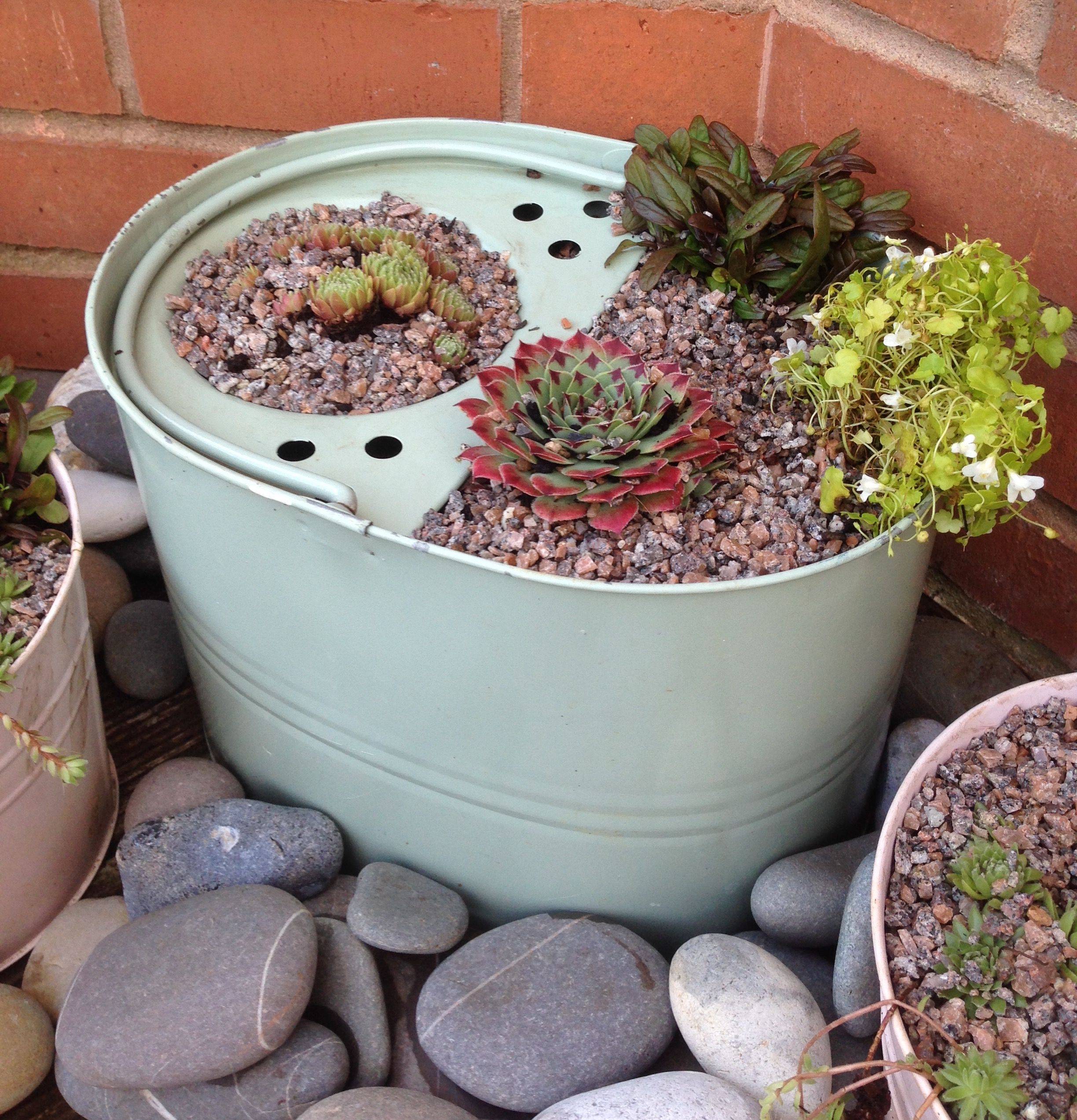 21 Bucket Garden Ideas To Try This Year SharonSable