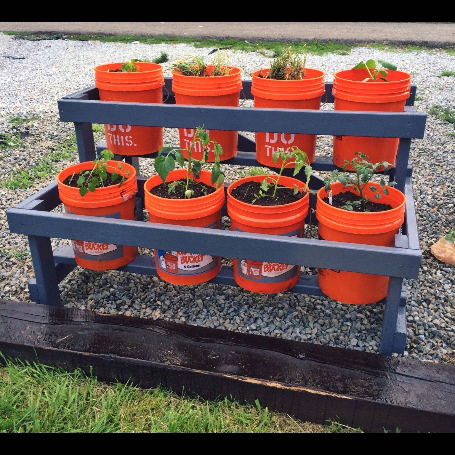Bucket Garden Veg Garden